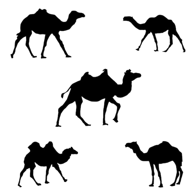 Vector de siluetas de camello blanco y negro