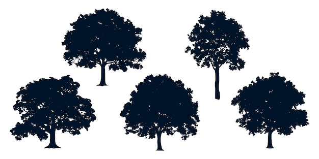 Vector de siluetas de diferentes tipos de árboles