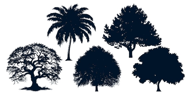 Vector de siluetas de diferentes tipos de árboles
