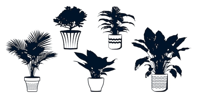 Vector de siluetas de plantas o árboles de interior