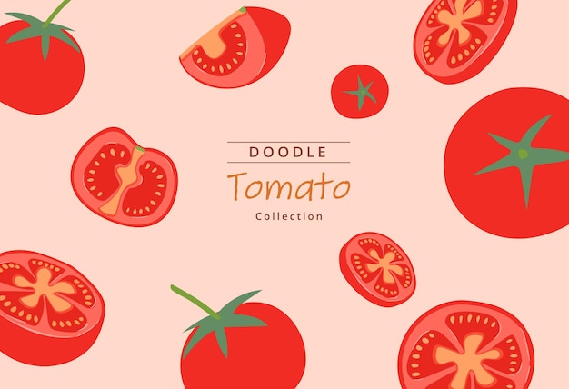 Vector vector sobre colección de tomates dibujados a mano