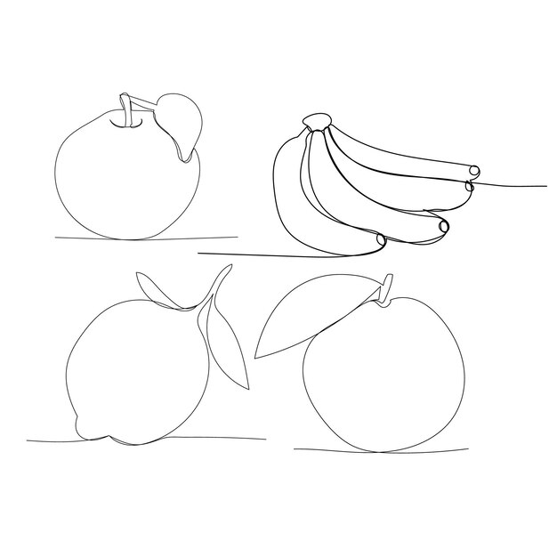Vector sobre un fondo blanco dibujo de una línea de frutas