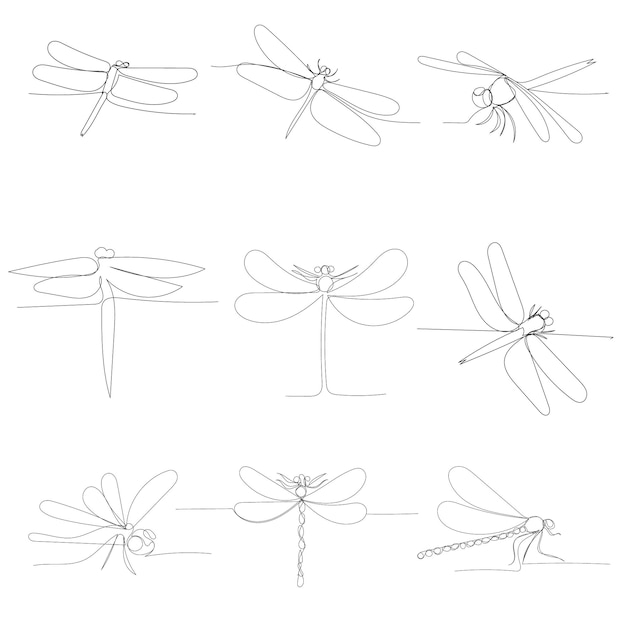 Vector sobre un fondo blanco libélula dibujo de línea continua conjunto de bocetos