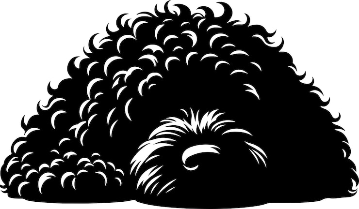 Vector vector stock español perro de agua vector silueta de color negro