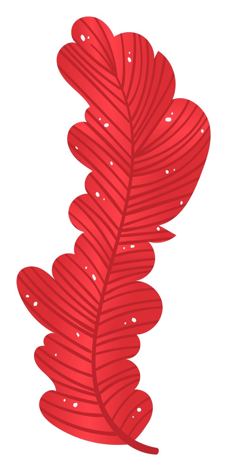 Vector vector de textura detallada de color vibrante de fondo blanco aislado de pluma roja botánico