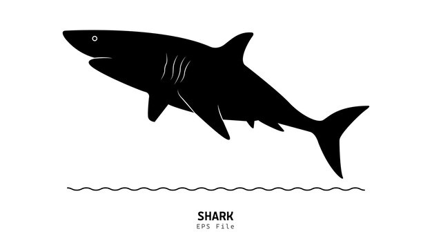 Vector de tiburon
