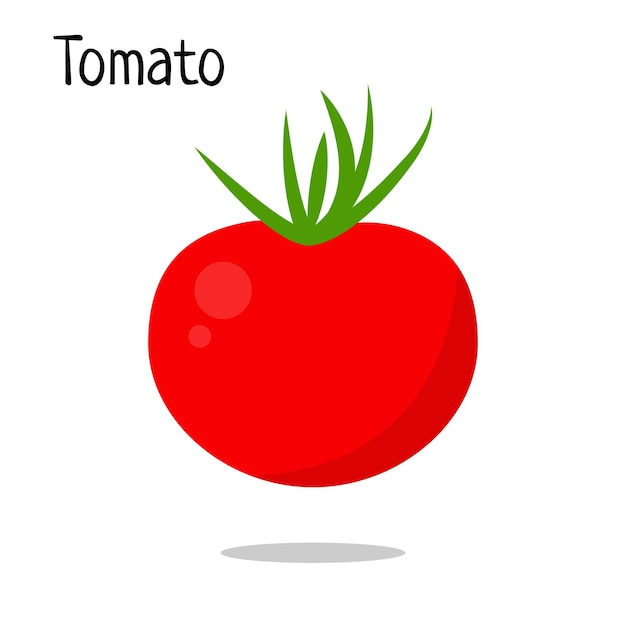 Vector de tomate fresco