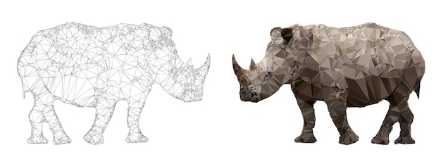 Vector de triangulación de Rhino con color sombreado y versiones de estructura alámbrica de contorno formato vectorial EPS10