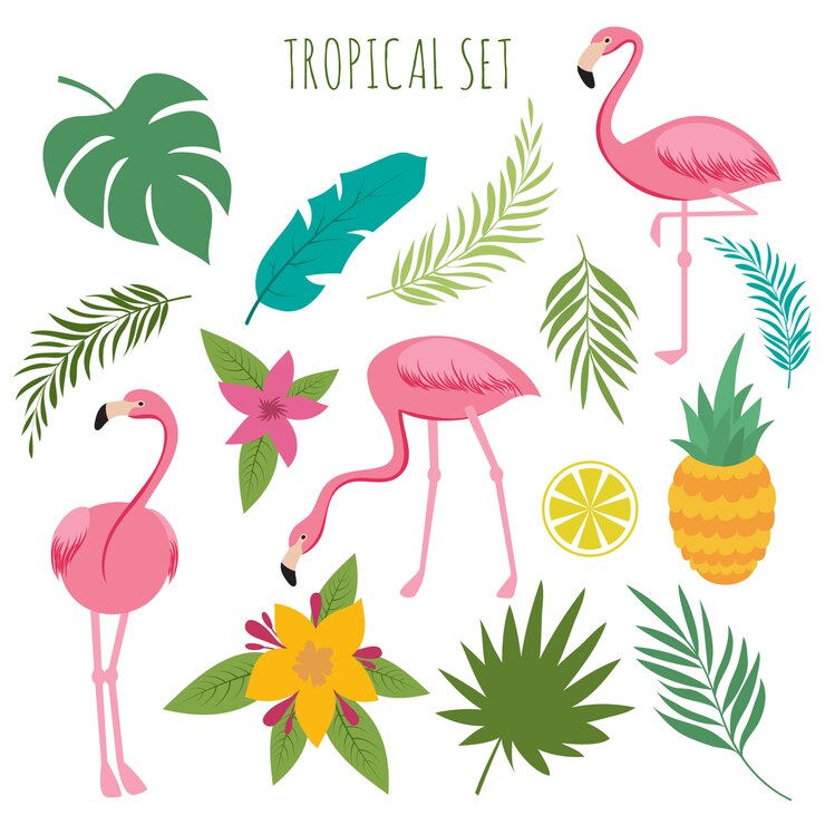 Vector vector tropical con flamencos rosados, hojas de palmera y flores.