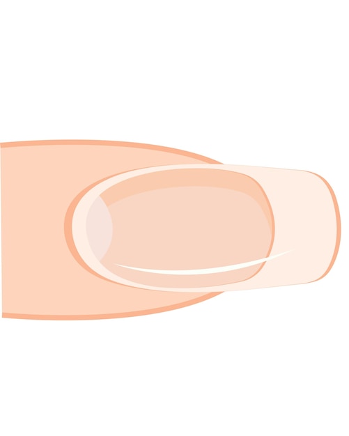 Vector de uñas de dedo