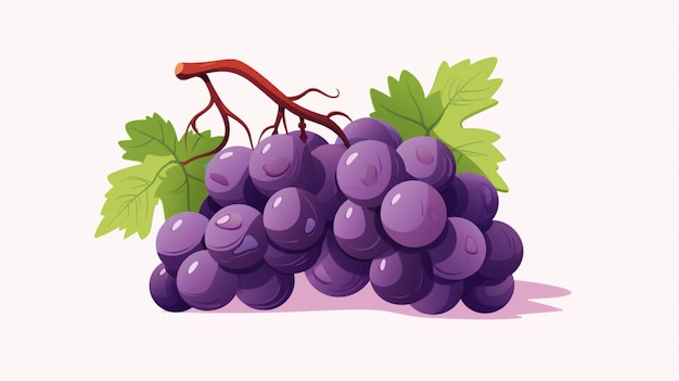 Vector de uvas sobre un fondo blanco