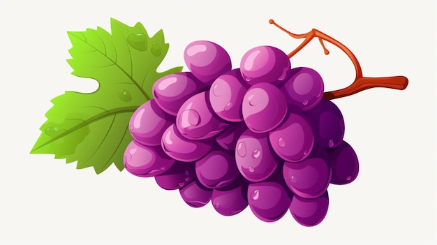 Vector de uvas sobre un fondo blanco