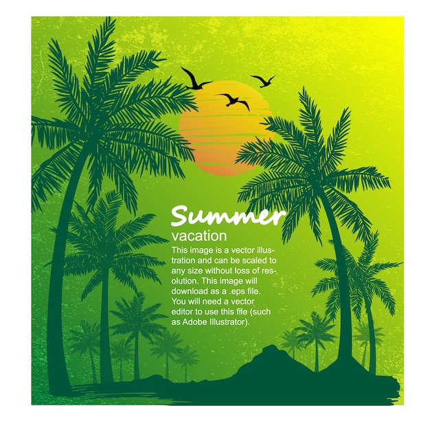 vector de vacaciones de verano