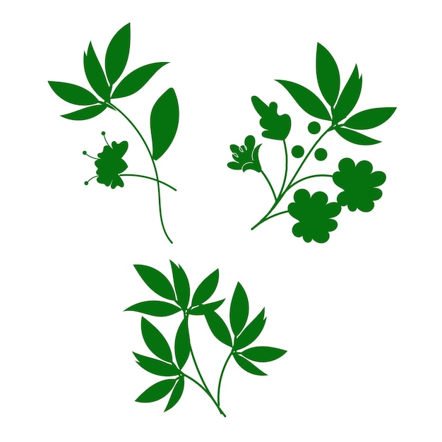 vector varias formas y formas de hojas verdes conjunto