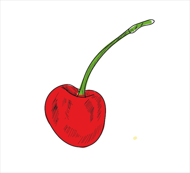 Vector de varios dibujos a mano de frutas