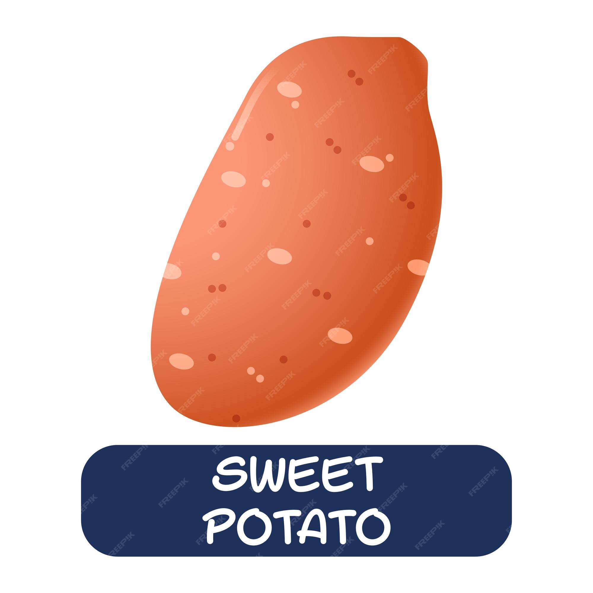 Vector de verduras de patata dulce de dibujos animados aislado sobre fondo blanco | Vector Premium Vector de verduras de patata dulce de dibujos animados aislado sobre fondo blanco | Vector Premium