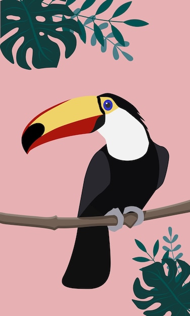 Vector de vida silvestre colorido tucán plano