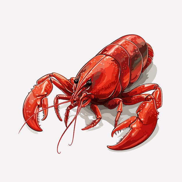 Vector yabby sobre fondo blanco