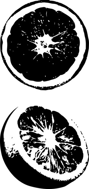 Vector vectores de fruta naranja en rodajas