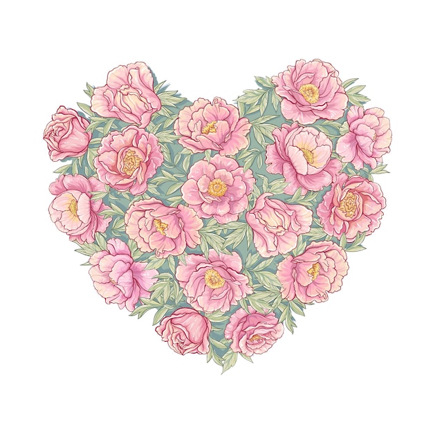 Vectorvector corazón de peonías sobre fondo blanco.