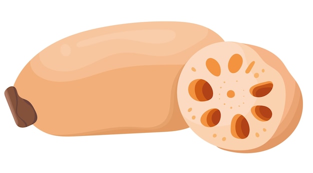 Vegetable de raíz de loto con ilustración cortada aislada sobre un fondo blanco