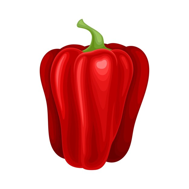 Vegetables maduros de pimienta roja como ilustración del vector de alimentos orgánicos