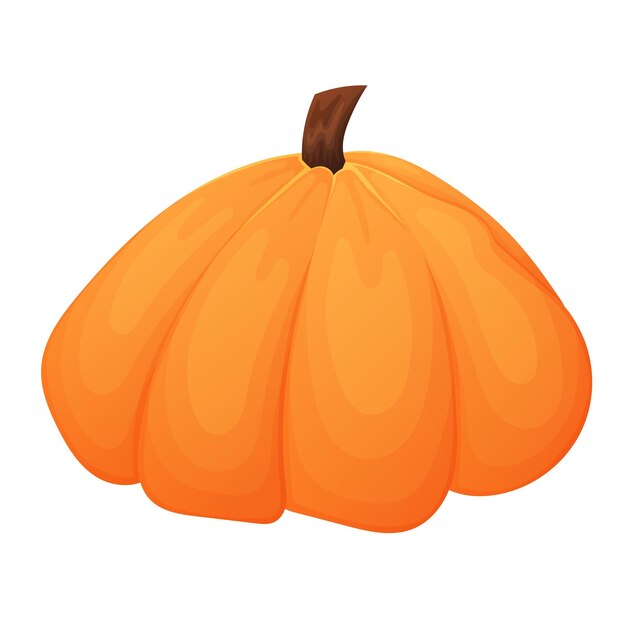 Vegetal maduro calabaza vector aislado dibujos animados otoño ilustración