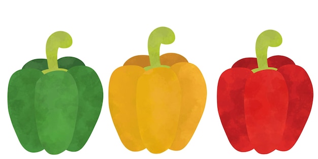 vegetal de papel de campana
