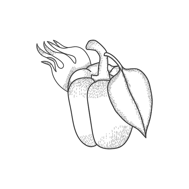 Vegetal de pimienta fresca con icono de fuego, pimienta para el mercado agrícola.