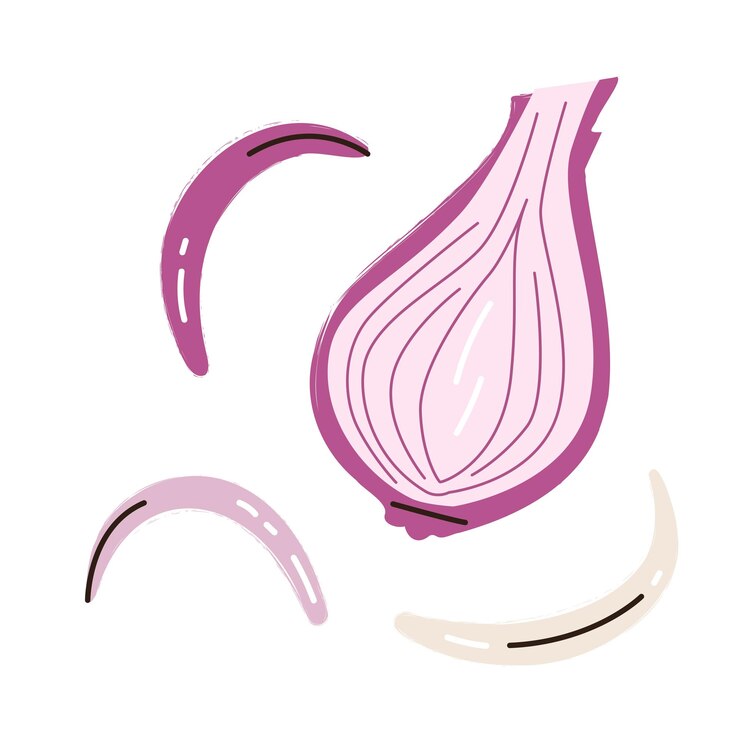 Vector vegetales de cebolla roja cruda madura medio anillo y rebanada comida vegetal aislada un delicioso y saludable