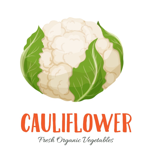 Vector vegetales de coliflor