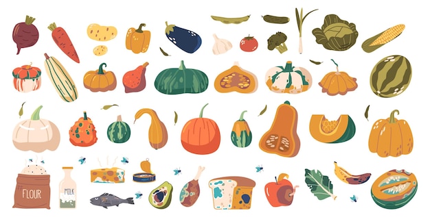 Vegetales frescos y en mal estado y alimentos incluyen productos como maíz de calabaza y patatas