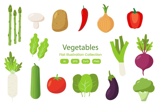 Vegetales y hortalizas