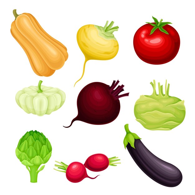 Vegetales maduros como un conjunto de vectores de alimentos crudos saludables