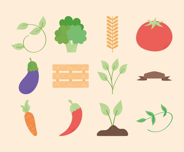 Vegetales y plantas frescas