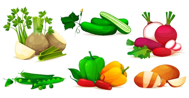 Vegetales set iconos vectoriales de productos frescos