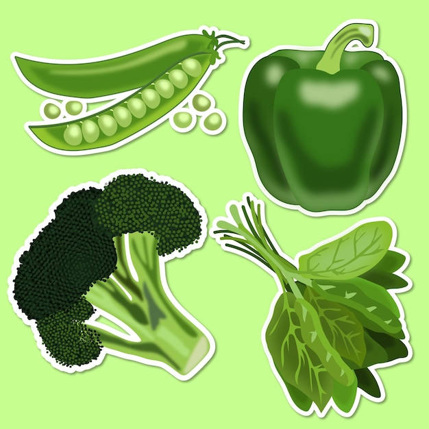 Vector vegetales verdes