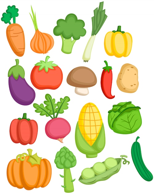 Vector vegetales