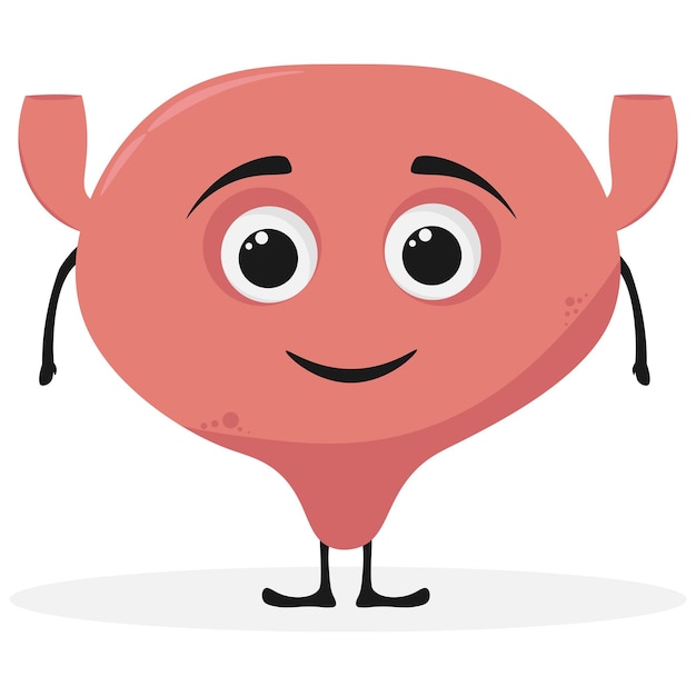 Vejiga de dibujos animados cuerpo humano órgano personaje Vector sistema urinario saludable personaje con linda cara sonriente Órgano anatómico feliz para orinar medicina y atención médica para niños
