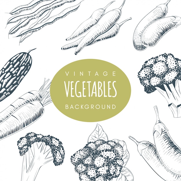 VENDIMIA ANTECEDENTES DE VERDURAS