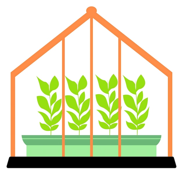 una ventana con plantas dentro de ella y una planta en ella