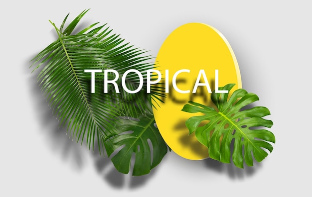 Verano con árbol tropical y sombra de vector.