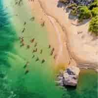 Vector verano en la playa palmeras y plantas alrededor de ilustraciones vectoriales vacaciones de verano en la costa del mar blanco