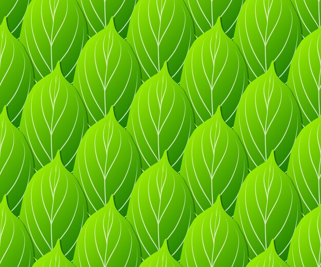 El verde deja el fondo inconsútil del vector del modelo