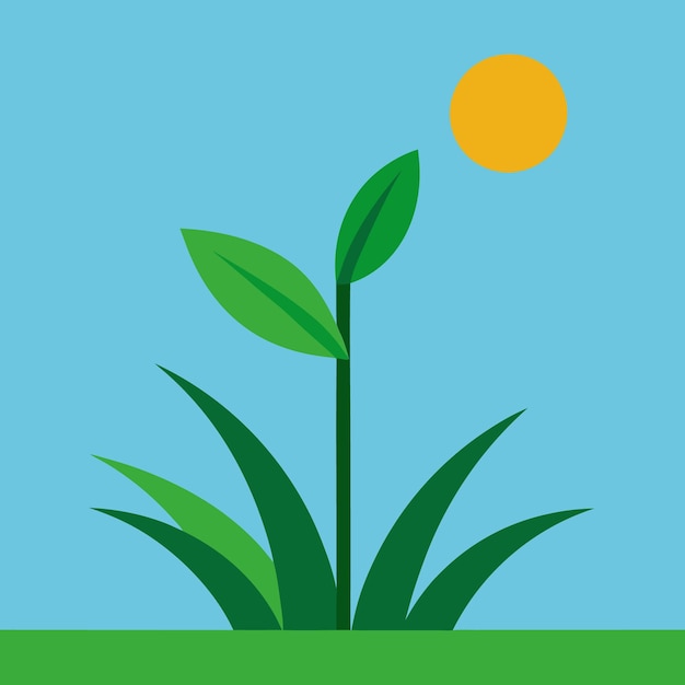En verde diseño vectorial de plantas de hierba con sol
