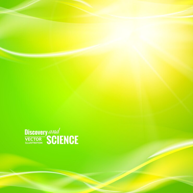 Verde en el suelo con luz solar blanca amarilla Vector