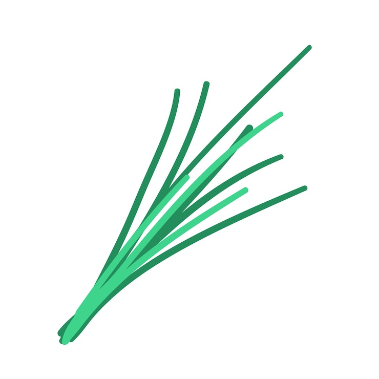 Vector verdes doodle estilo vector elemento handdraw ilustración