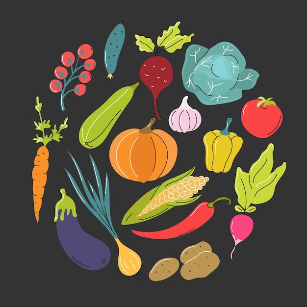 Verduras en un círculo sobre un fondo gris oscuro alimentos naturales saludables imagen plana vectorial