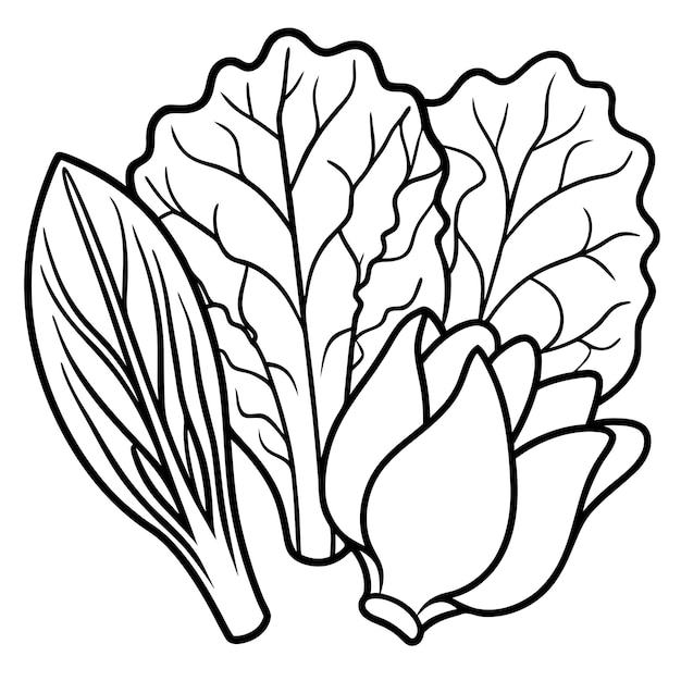 verduras de colada verduras de mostaza bok choy verduras contorno libro de colorear página de línea dibujo artístico