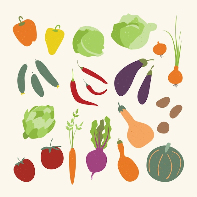 Verduras. Conjunto de diversas verduras. Cosecha de otoño.